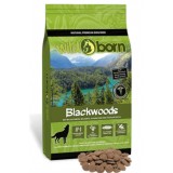 Wildborn Blackwoods - беззерновые корма для собак со свежим мясом дикого кабана, кролика и сладким картофелем