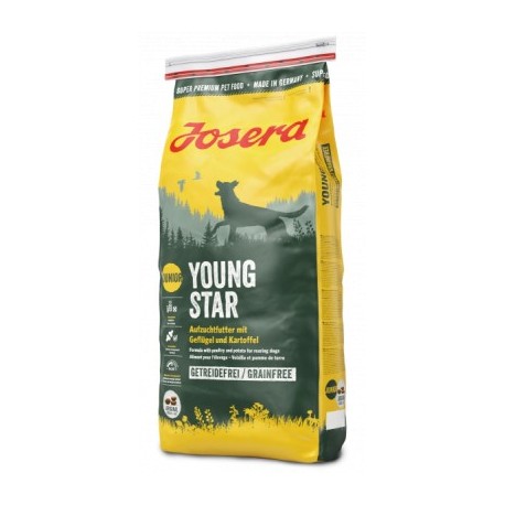 YoungStar (Junior 25/13) YoungStar (Junior 25/13)