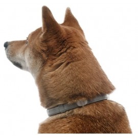 Форесто (Foresto) антипаразитарный ошейник для собак мелких пород (≤ 8 кг, 38 см)