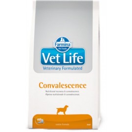 Vet Life Dog Convalescence / Диетическое питание собак в период выздоровления