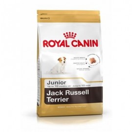 Royal Canin Jack Russel Junior (Джек Рассел Юниор)
