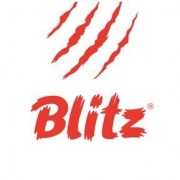 Blitz (Россия)