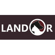 Landor (Испания и Россия)