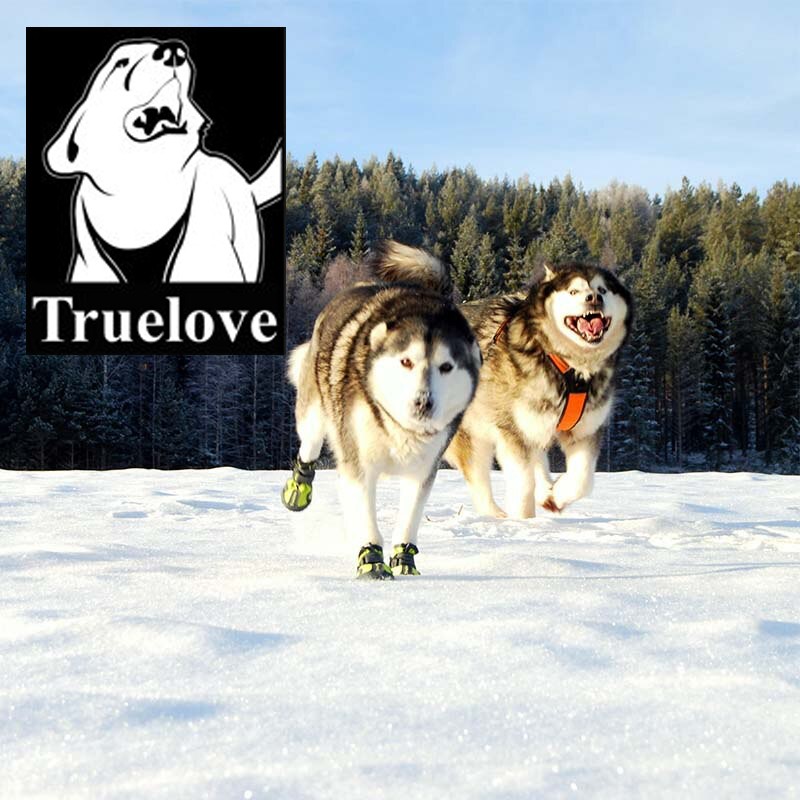 Truelove обувь для собак